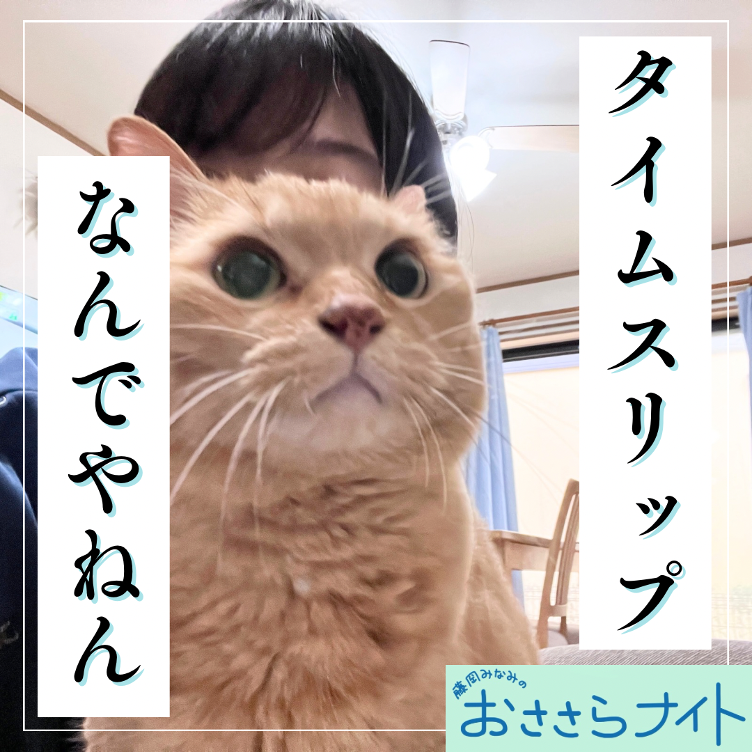 ＜ＯＡ＞２０２５年３月２９日放送 episode artwork