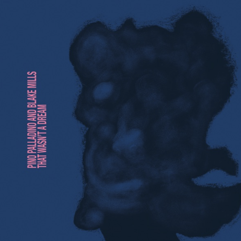 Somnambulista / Pino Palladino & Blake Mills