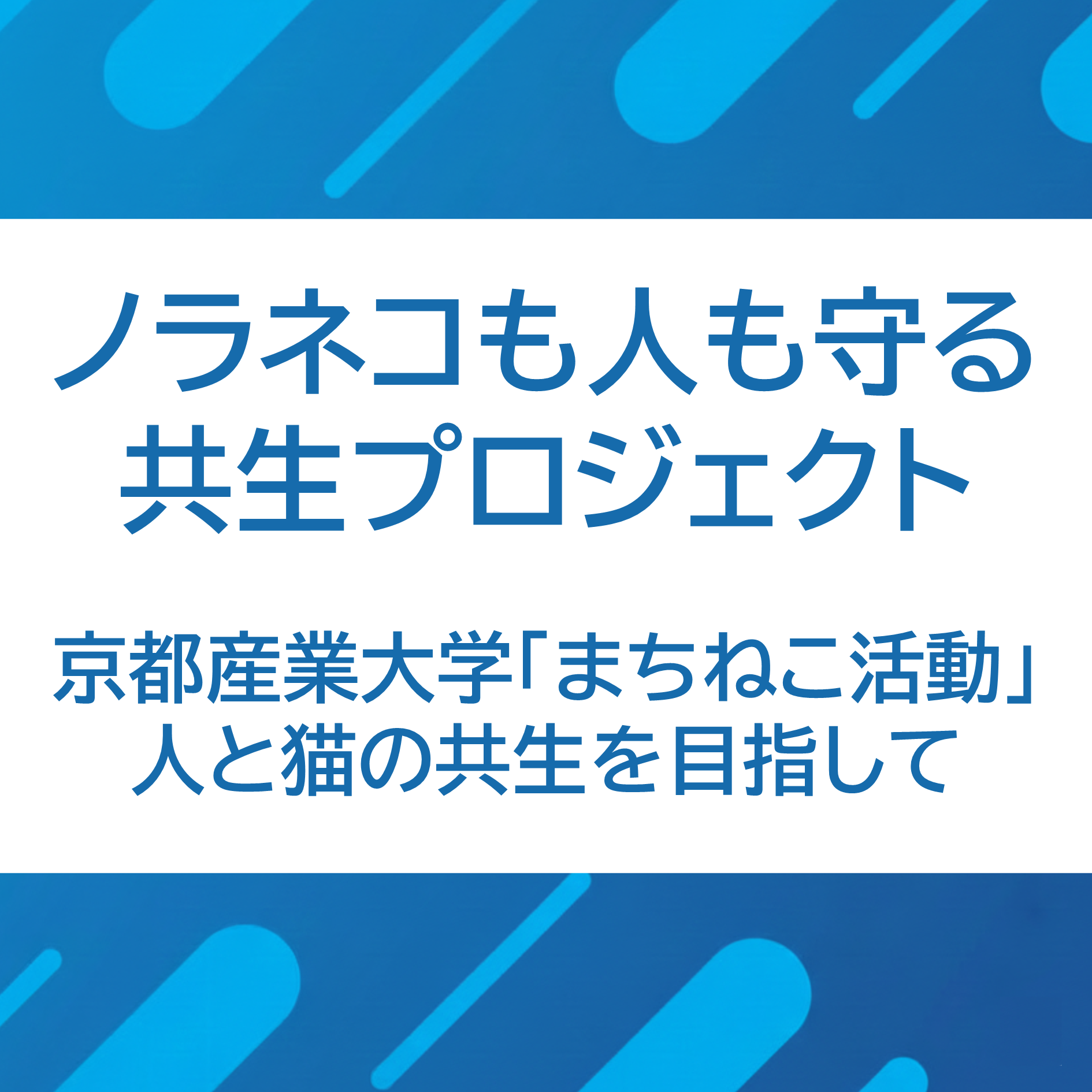 5/22 京都産業大学 Dream Challenge episode artwork