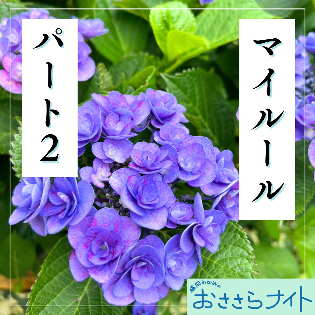 ＜ＯＡ＞２０２５年６月２８日放送 episode artwork