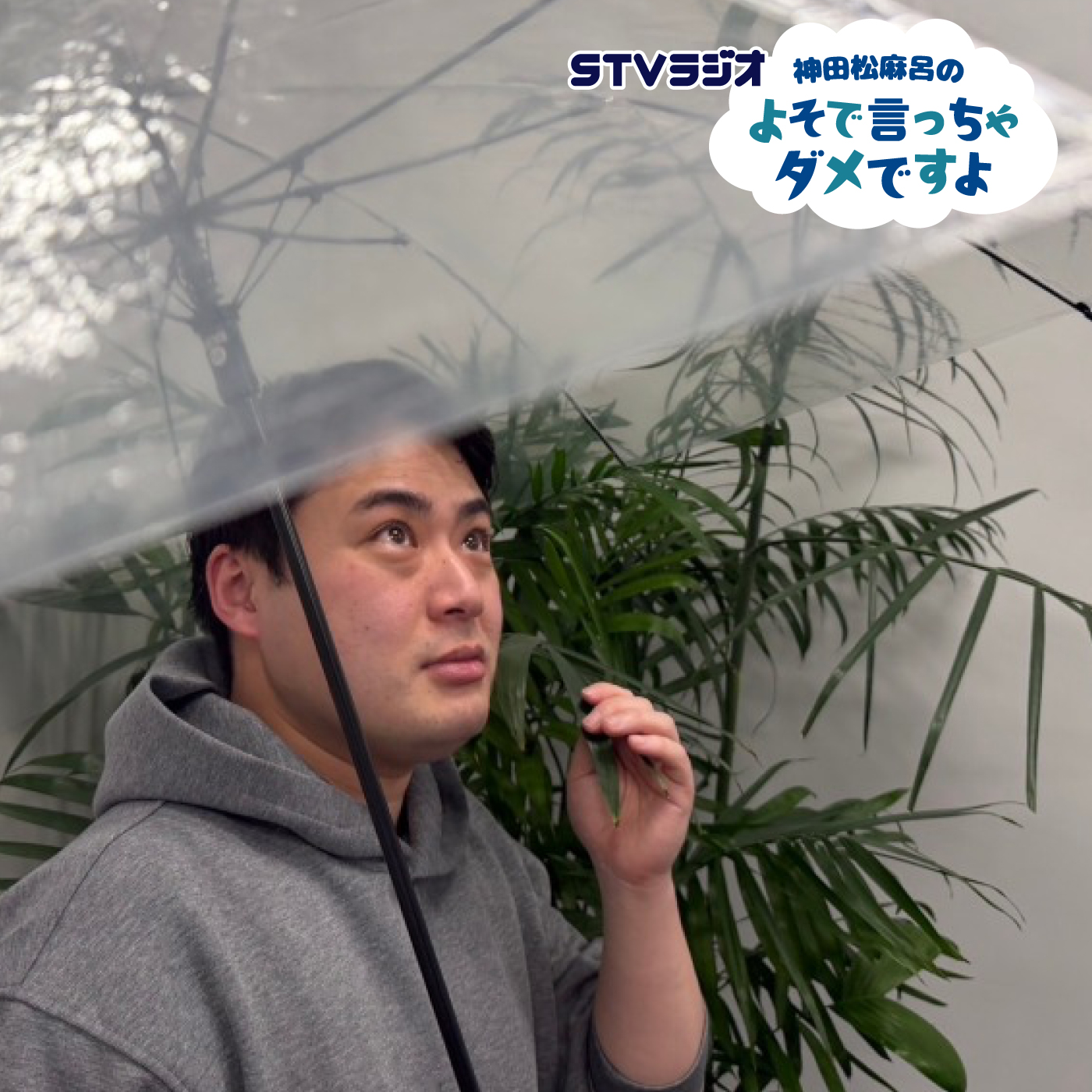 第48回 傘とおばあちゃん episode artwork
