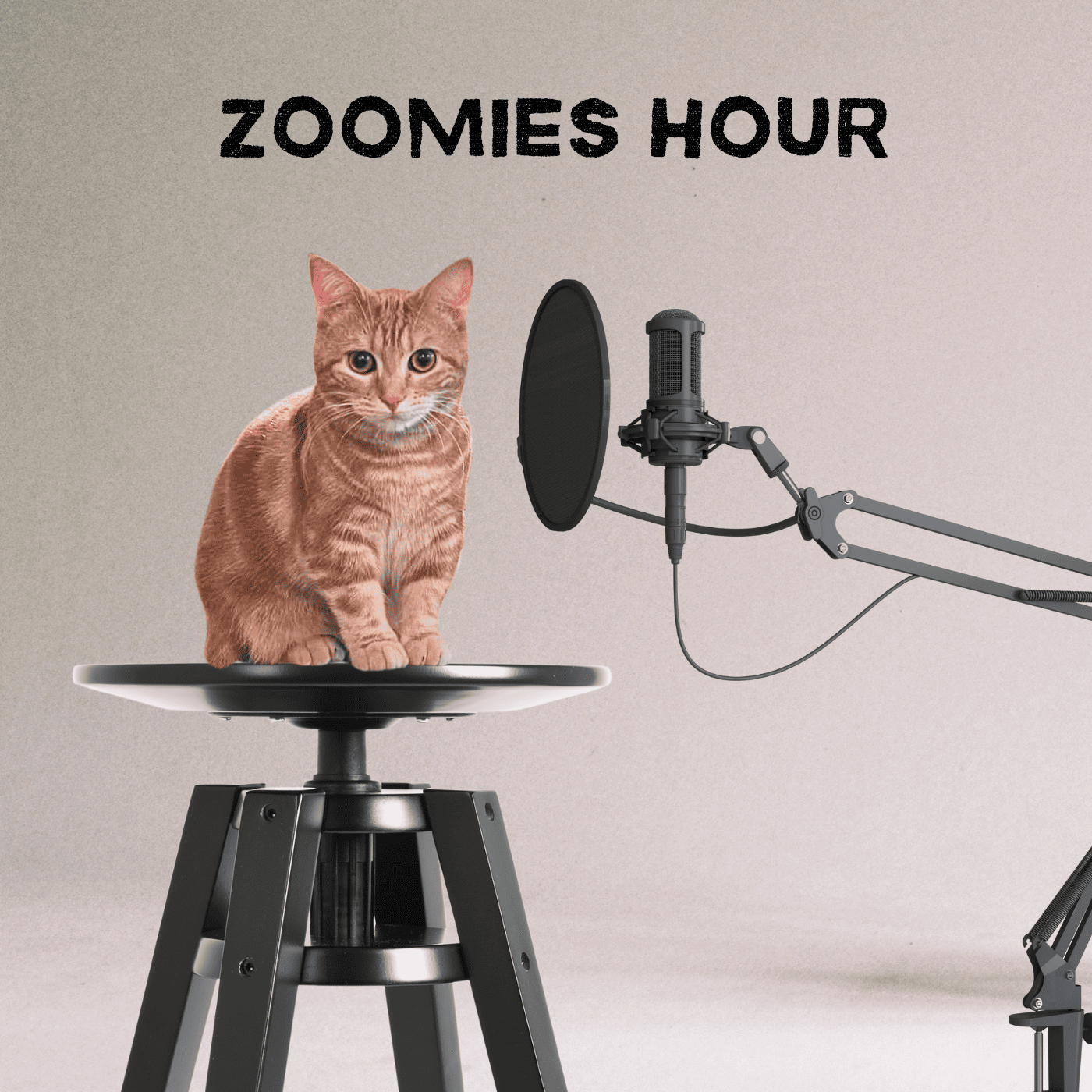 #004　絶対に守る‼︎猫の脱走対策/話題沸騰のコーナー妄想猫曲紹介 episode artwork