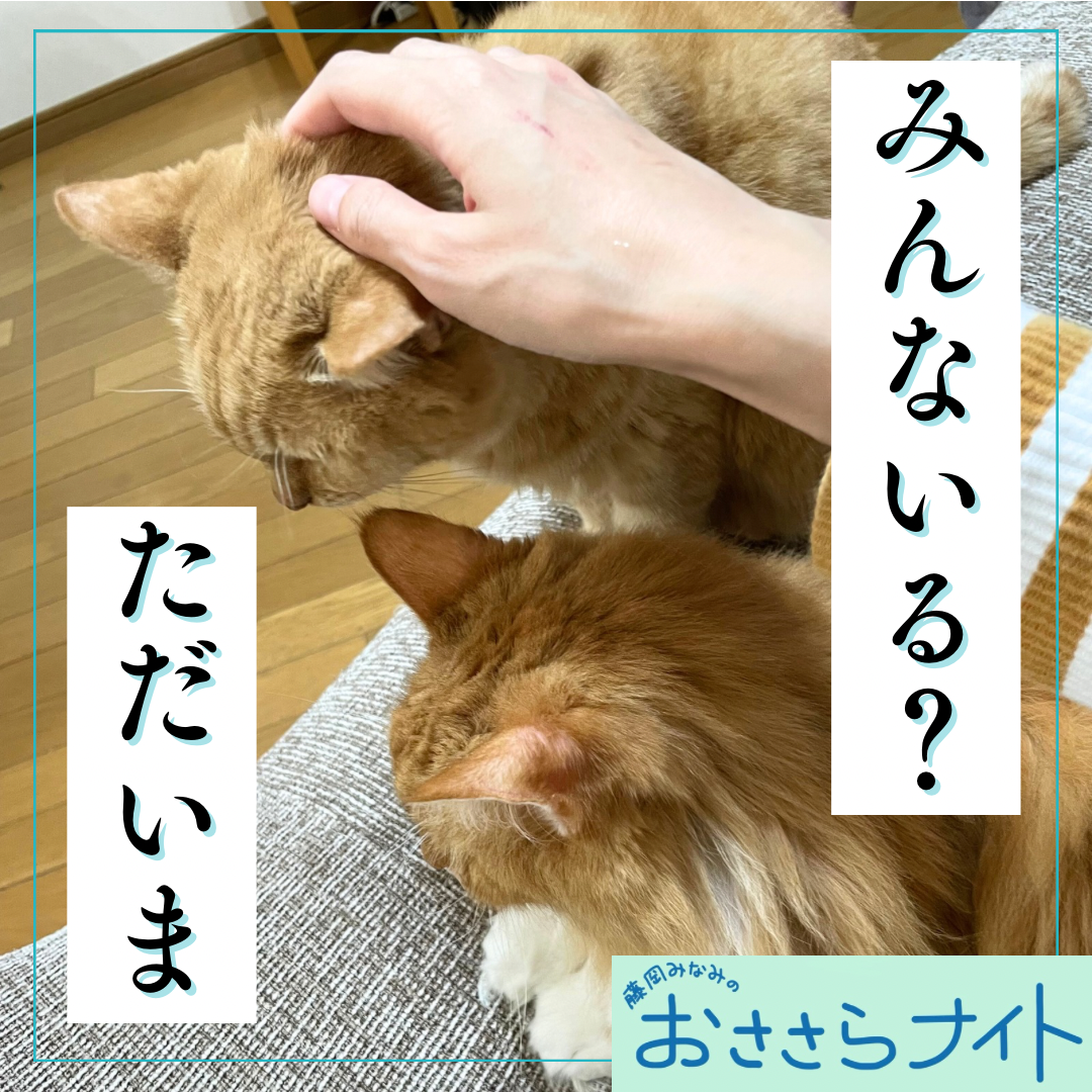 Podcast版　2026/1/24 第181回 episode artwork