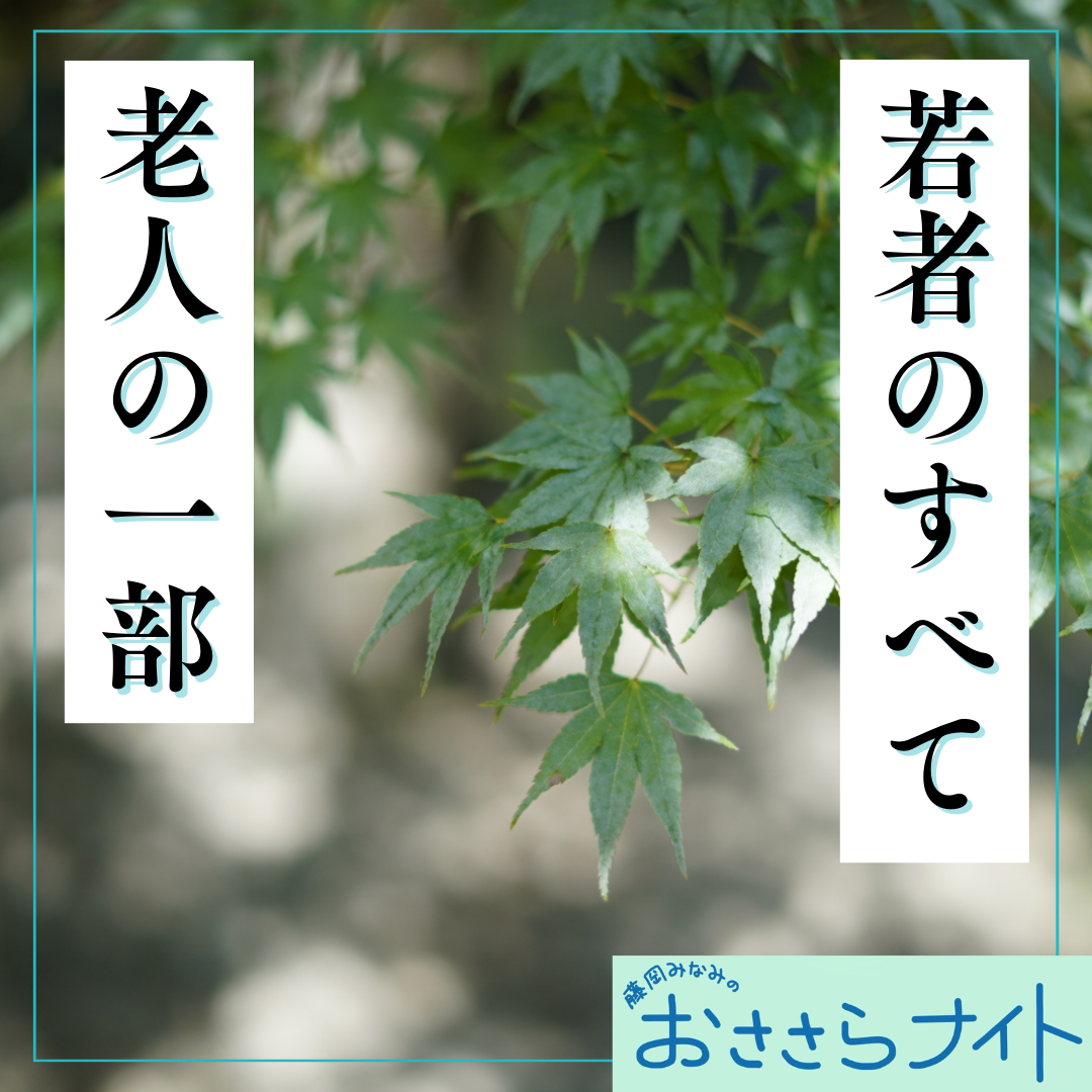 ＜ＯＡ＞２０２５年８月３０日放送 episode artwork
