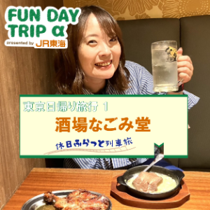 #7 あたたかみのある居酒屋さんで過ごす、心なごむ夕暮れ時 『酒場なごみ堂』【東京日帰り旅行1】 episode artwork