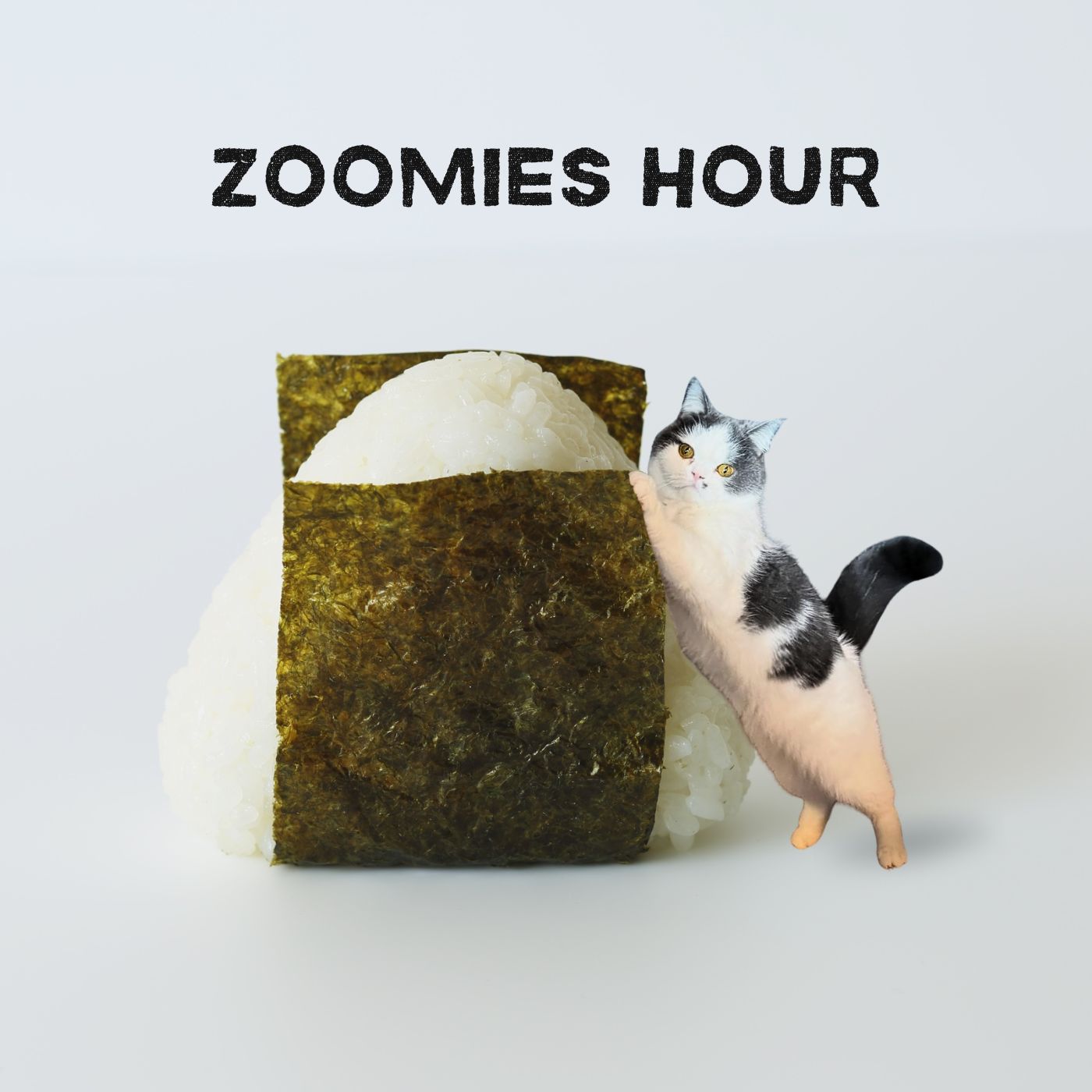 #051 猫とAI part.2/猫の健康チェックAI「CatsMe」実際に使ってみた/猫×AIの今後とは #051 猫とAI part.2/猫の健康チェックAI「CatsMe」実際に使ってみた/猫×AIの今後とは