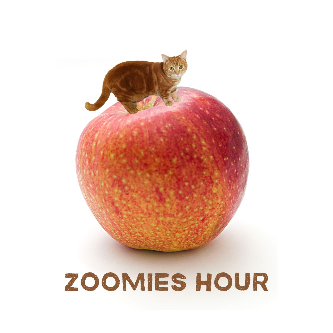 #044 ネコは天才 #044 ネコは天才