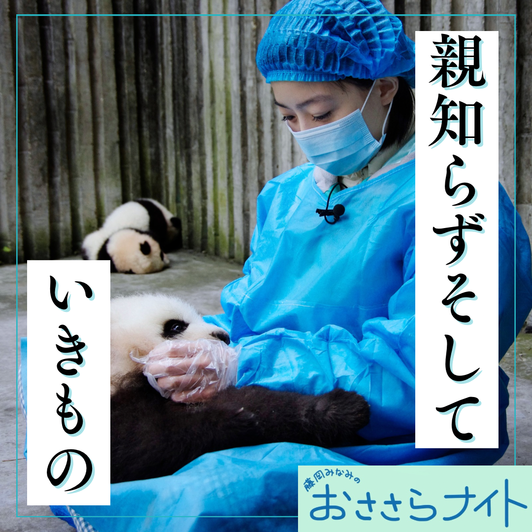 Podcast版　2026/6/6 第198回 episode artwork