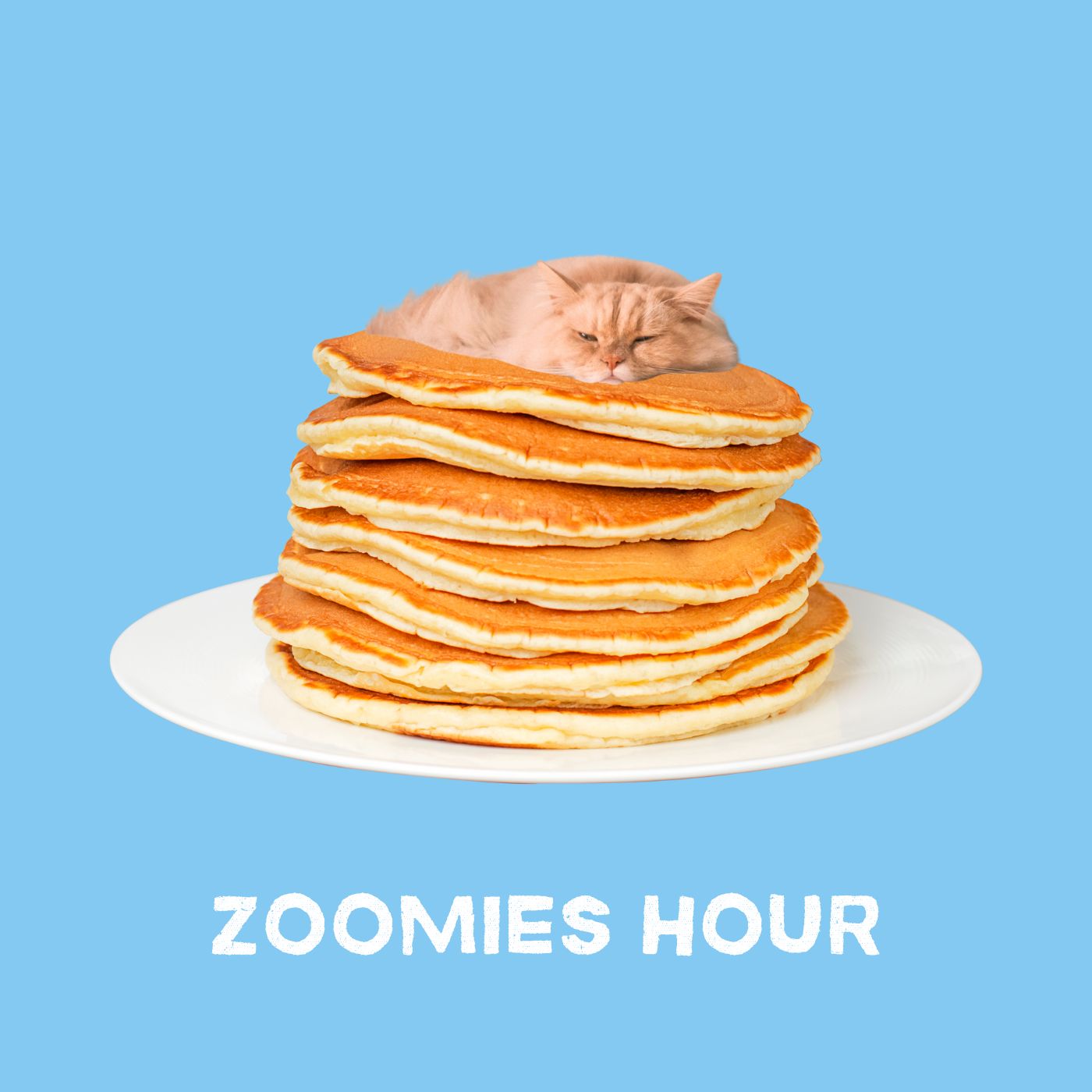 #041 ZOOMIES HOUR今年の抱負
