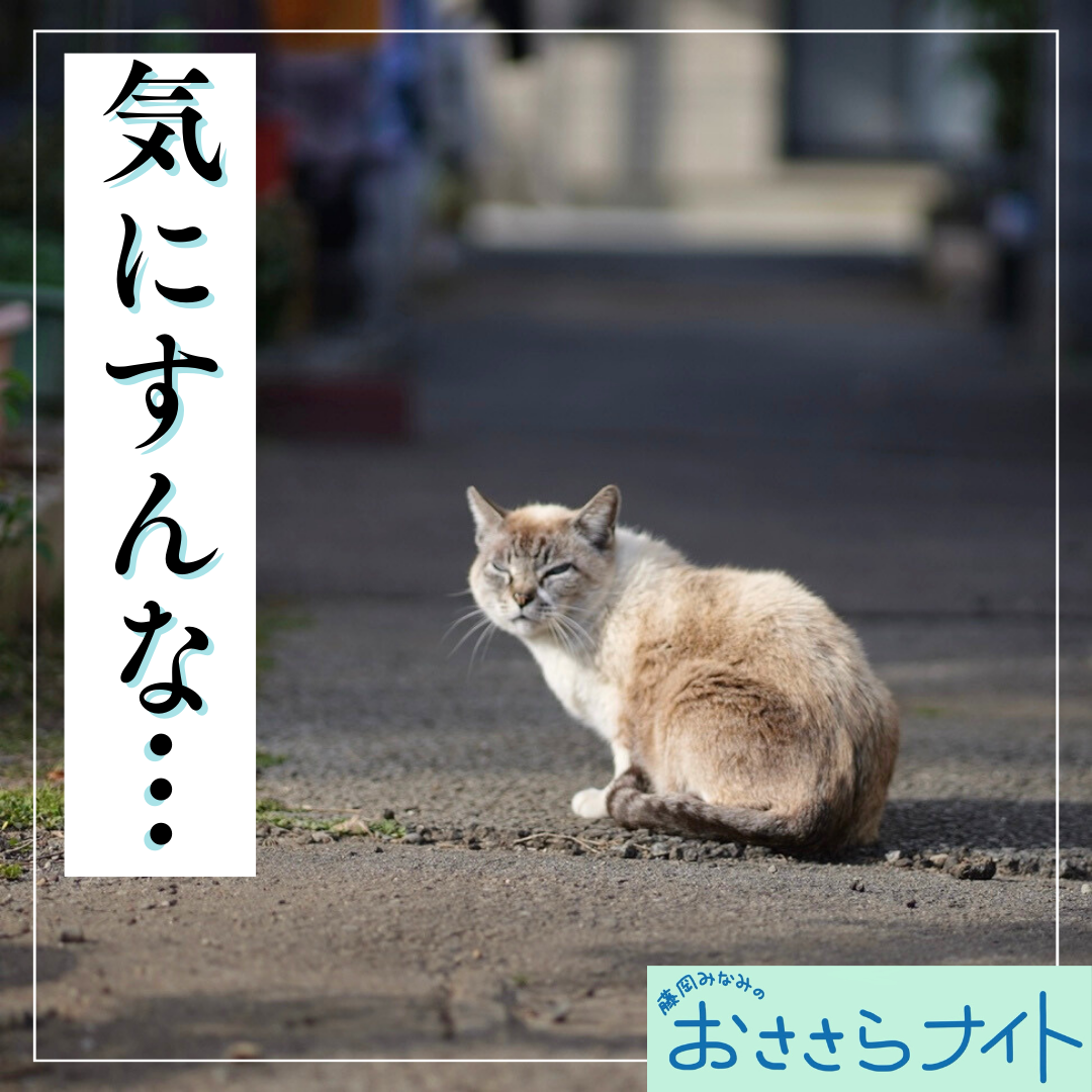 Podcast版　2025/3/1　第150回 episode artwork