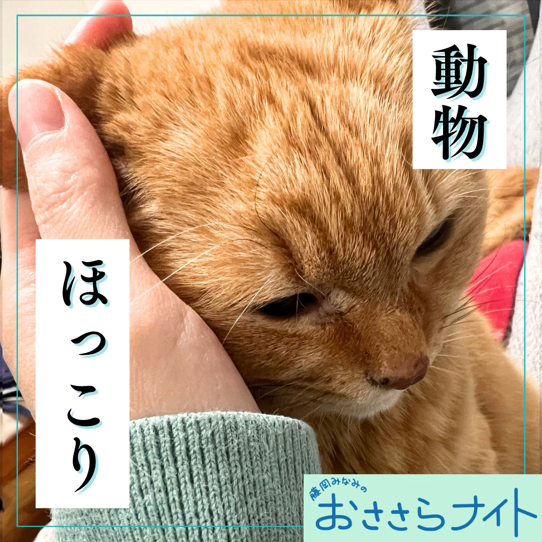 ＜ＯＡ＞２０２５年１２月１３日放送 episode artwork