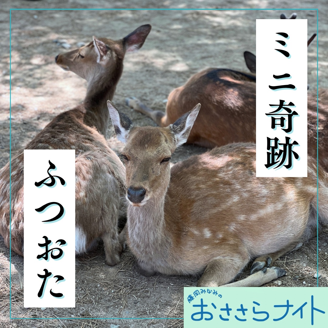 Podcast版　2026/5/30 第197回 episode artwork