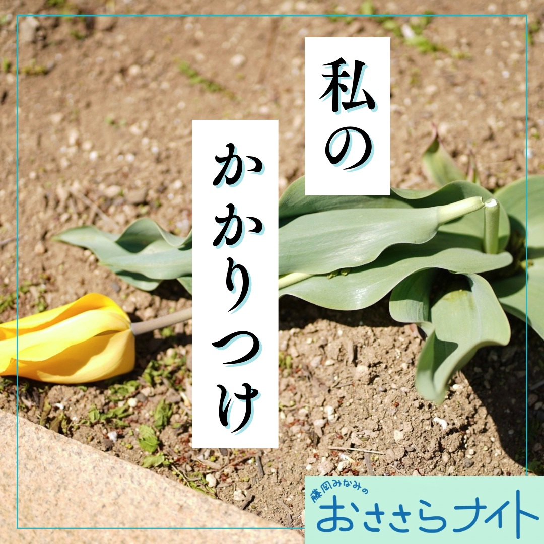 ＜ＯＡ＞２０２６年６月１３日放送 episode artwork