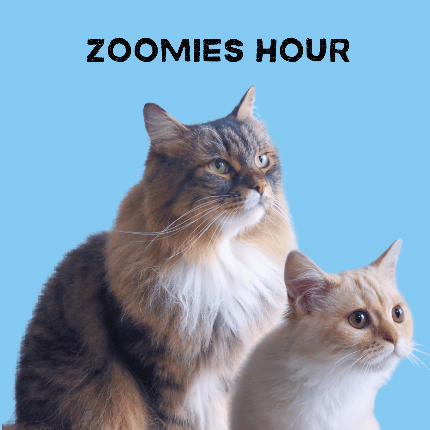 #007　猫関連グッズ、これええで Part.1！ episode artwork