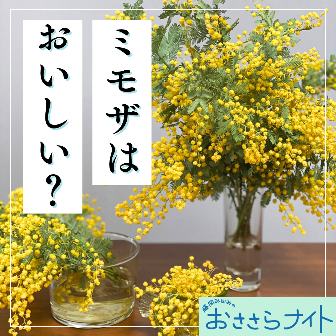 Podcast版　2025/4/26　第158回 episode artwork