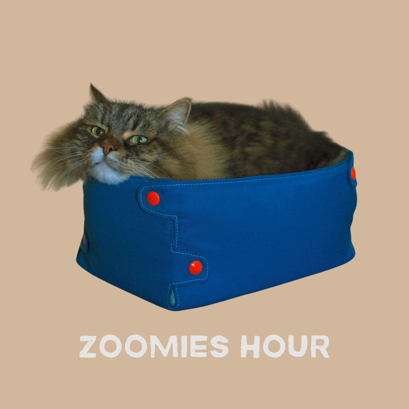 #047 猫の日・前半戦大報告会 #047 猫の日・前半戦大報告会