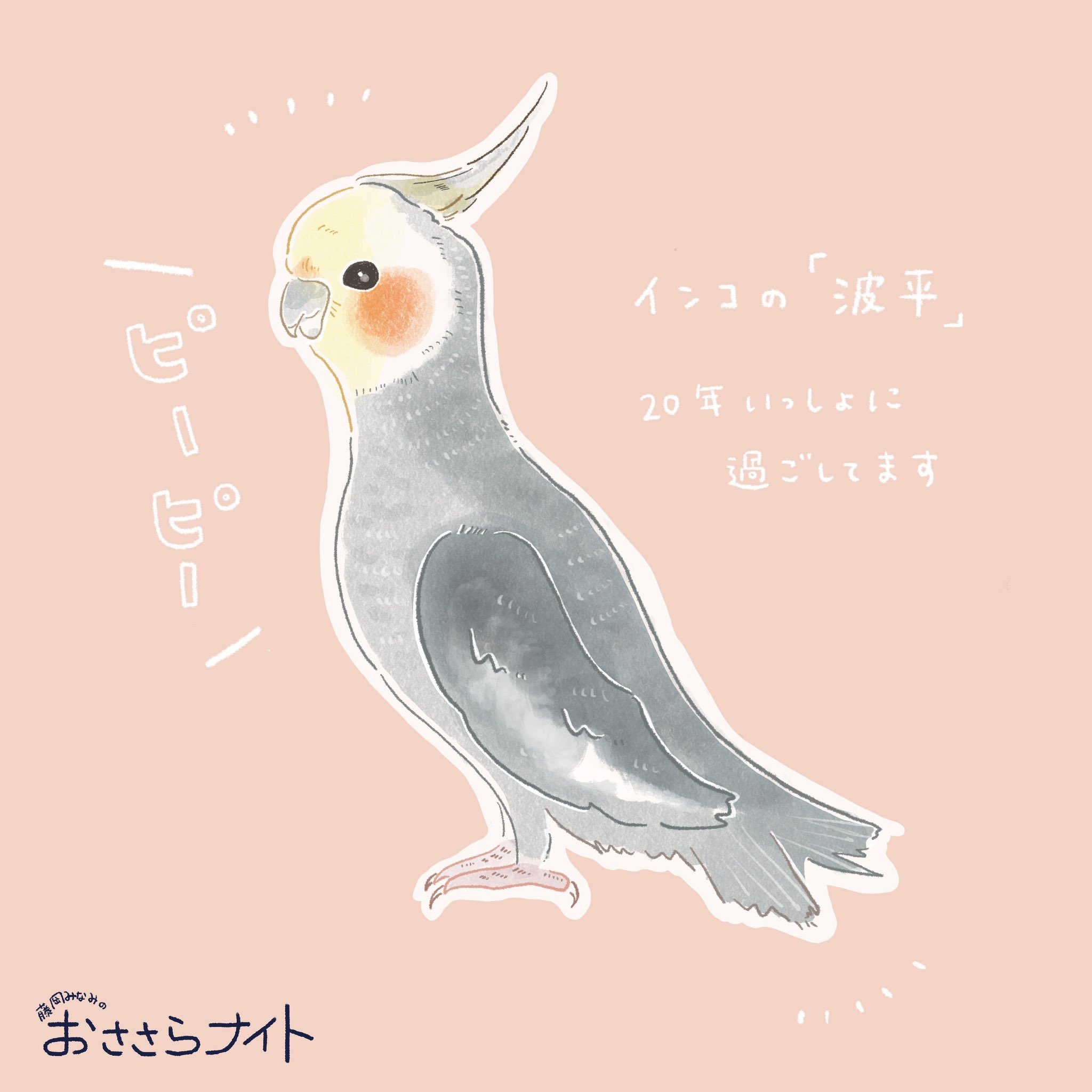 Podcast版　2024/3/2 第100回　カナダの甘い汁 episode artwork