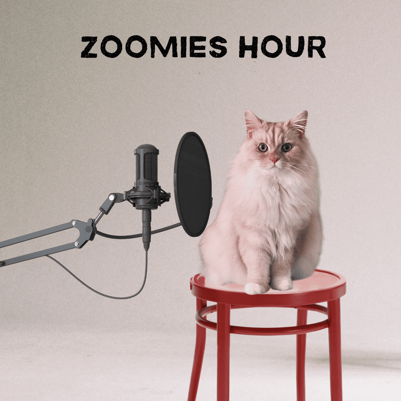 #005　猫と防災/防災バッグの中身/避難の時はどうすればいいの？/地震の時にしていること/恐怖の虫事件 episode artwork
