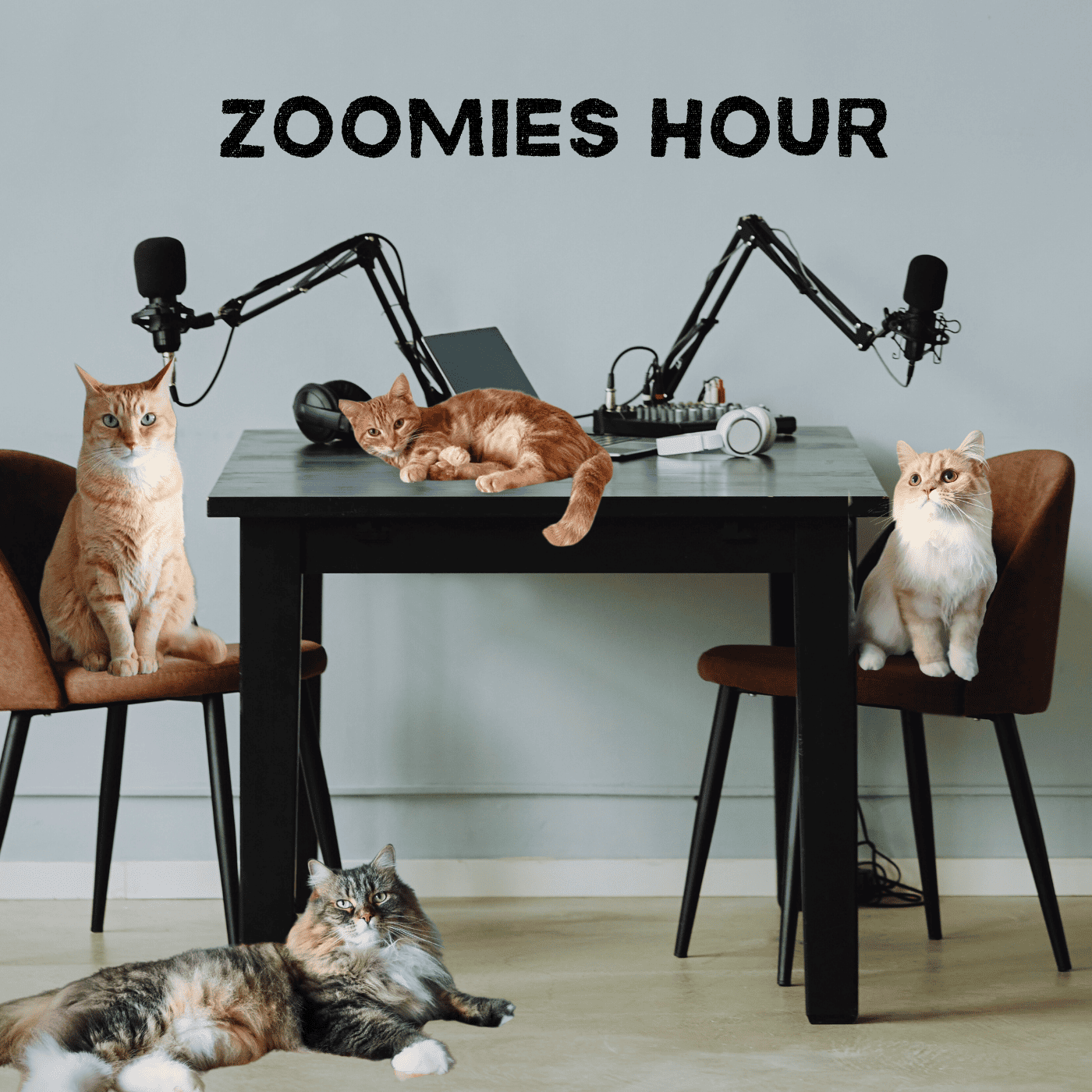 #001　猫狂いよ集まれ！ZOOMIES HOUR始動！猫＆人間の紹介/猫との出会い/番組の今後の展望など episode artwork