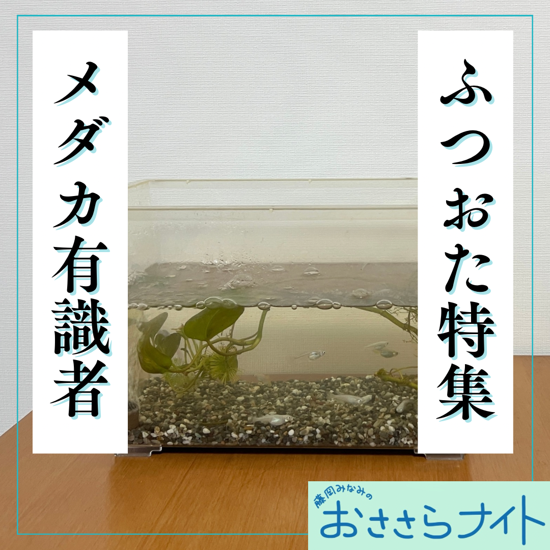 Podcast版　2025/8/23　第167回 episode artwork