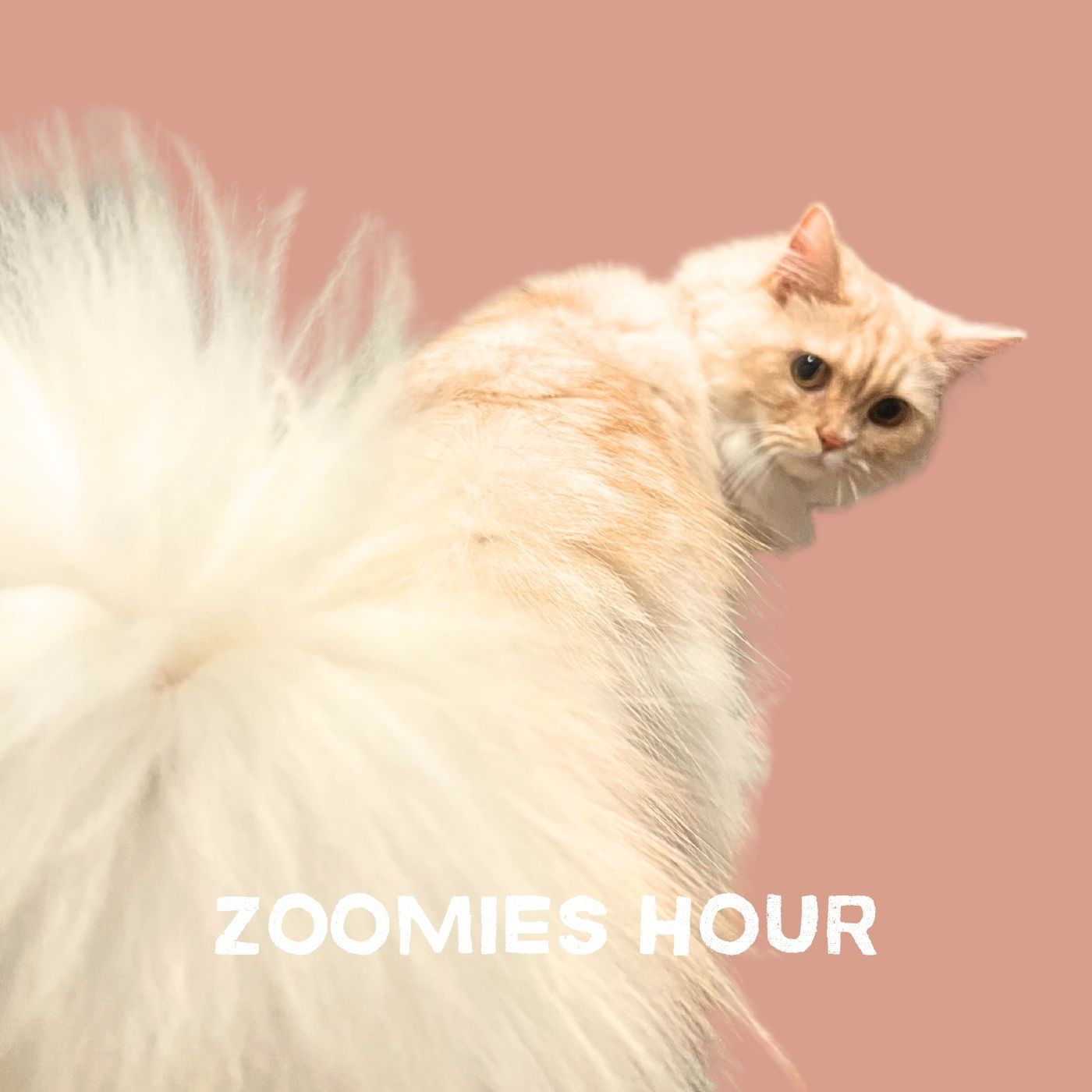 Artwork for ZOOMIES HOUR
