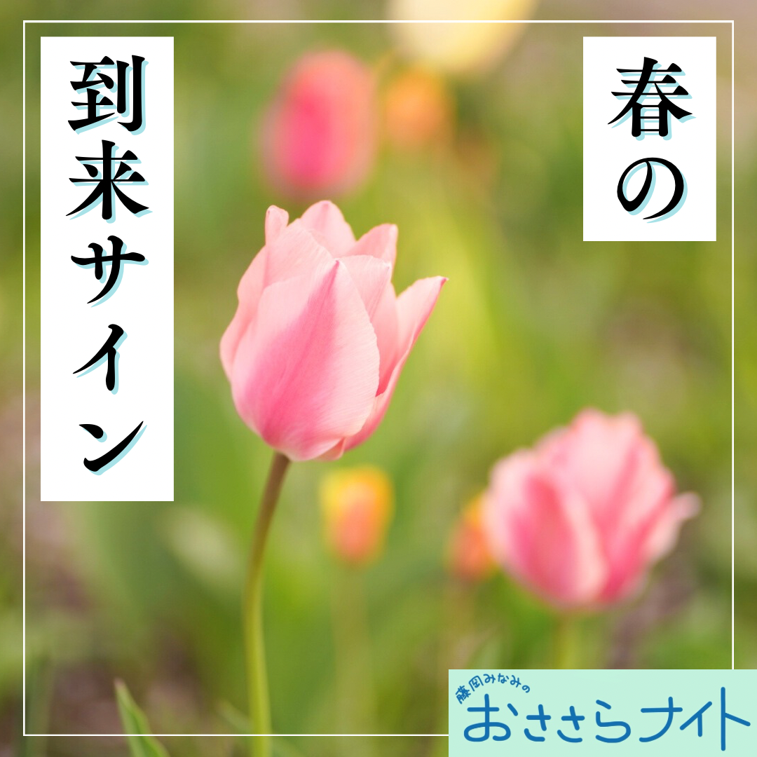 ＜ＯＡ＞２０２５年４月１２日放送 episode artwork