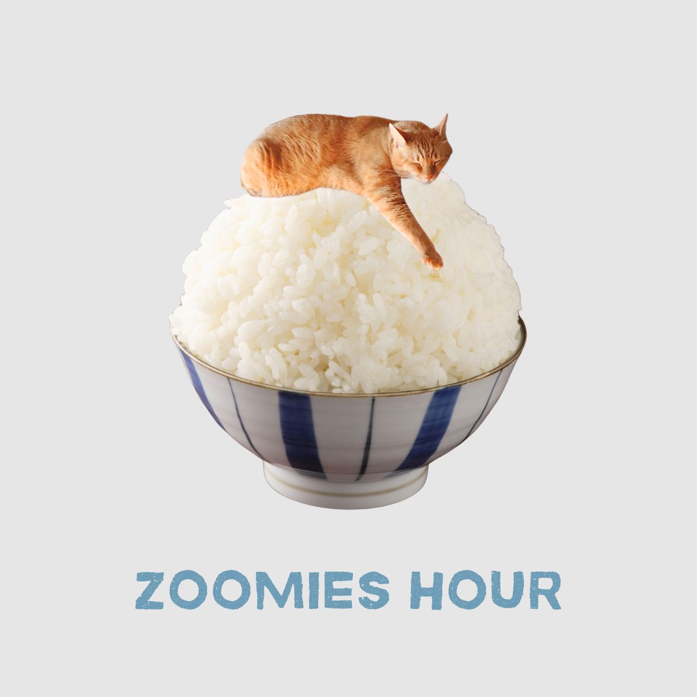 #042 ZOOMIES HOUR いたずらコレクション / ズミコレ