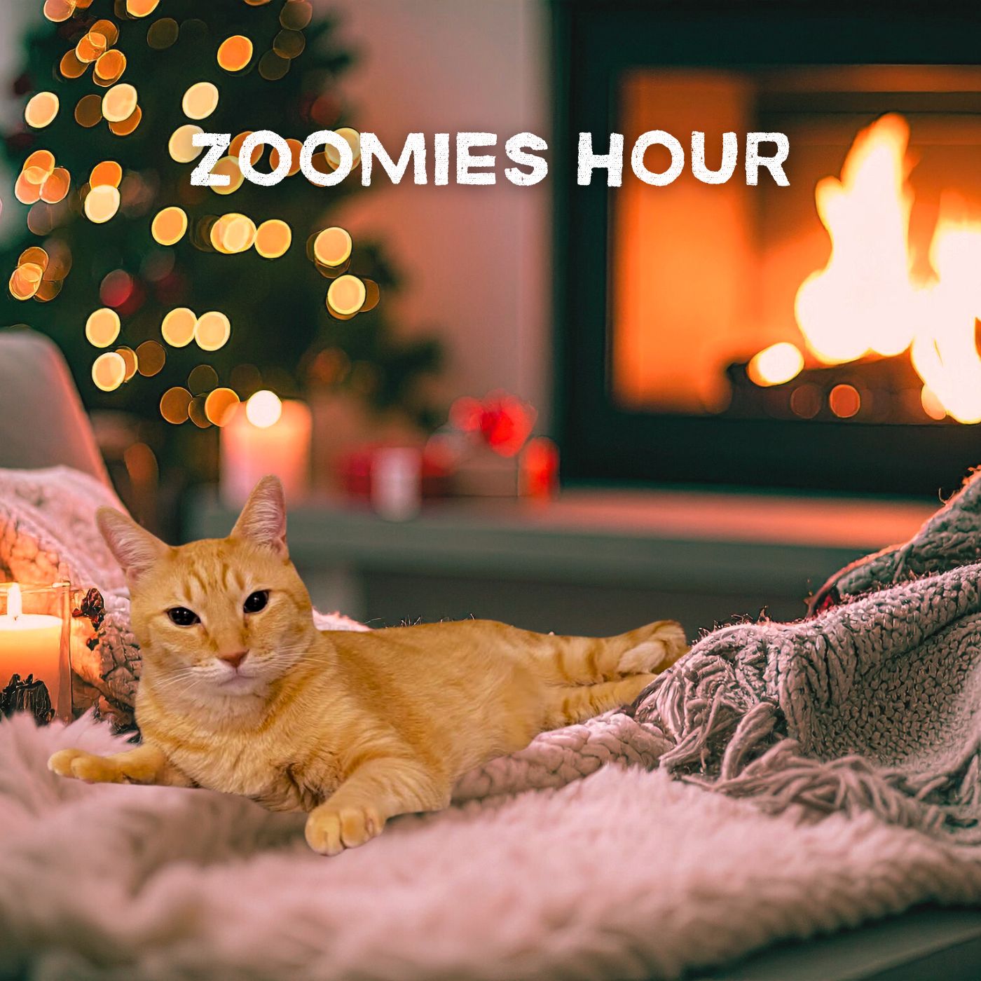#038 猫と過ごすクリスマス episode artwork