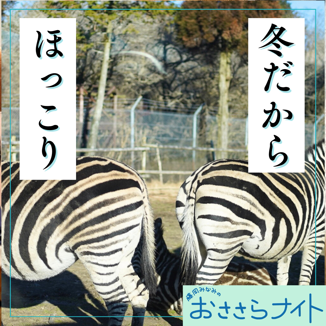 ＜ＯＡ＞２０２６年１月１０日放送 episode artwork