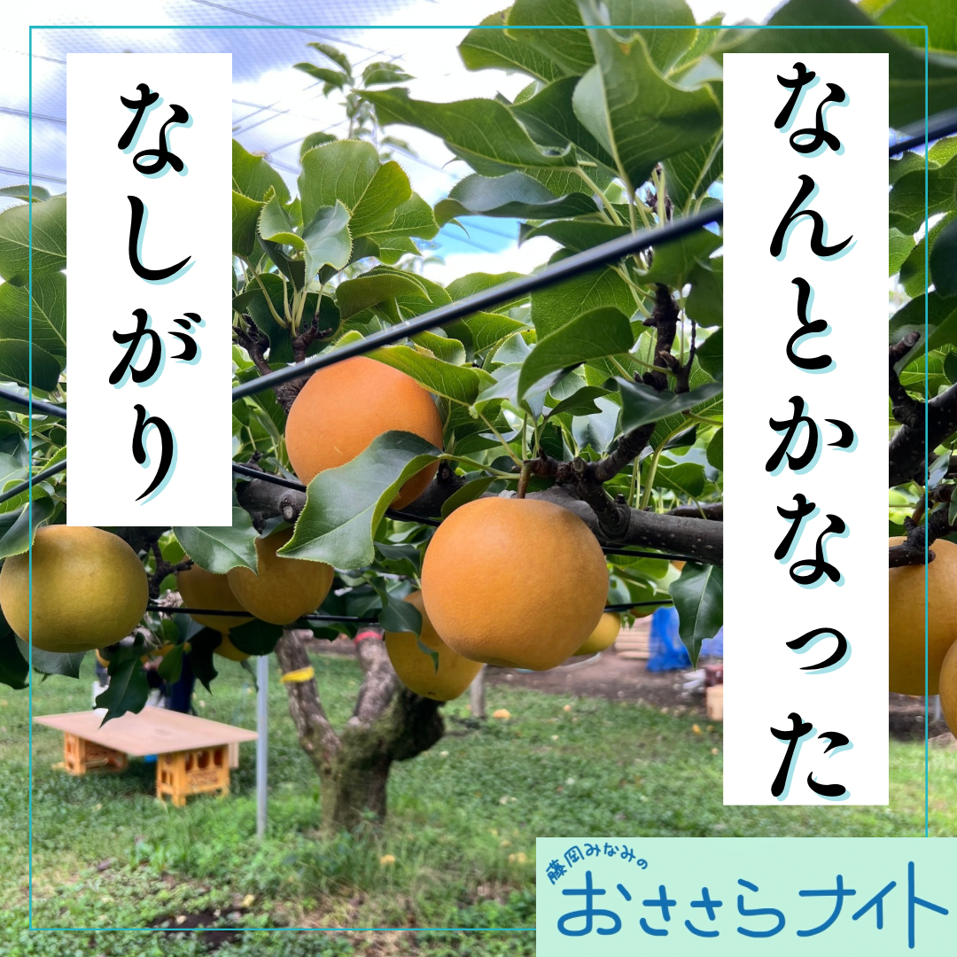 Podcast版　2025/9/27 第172回 episode artwork