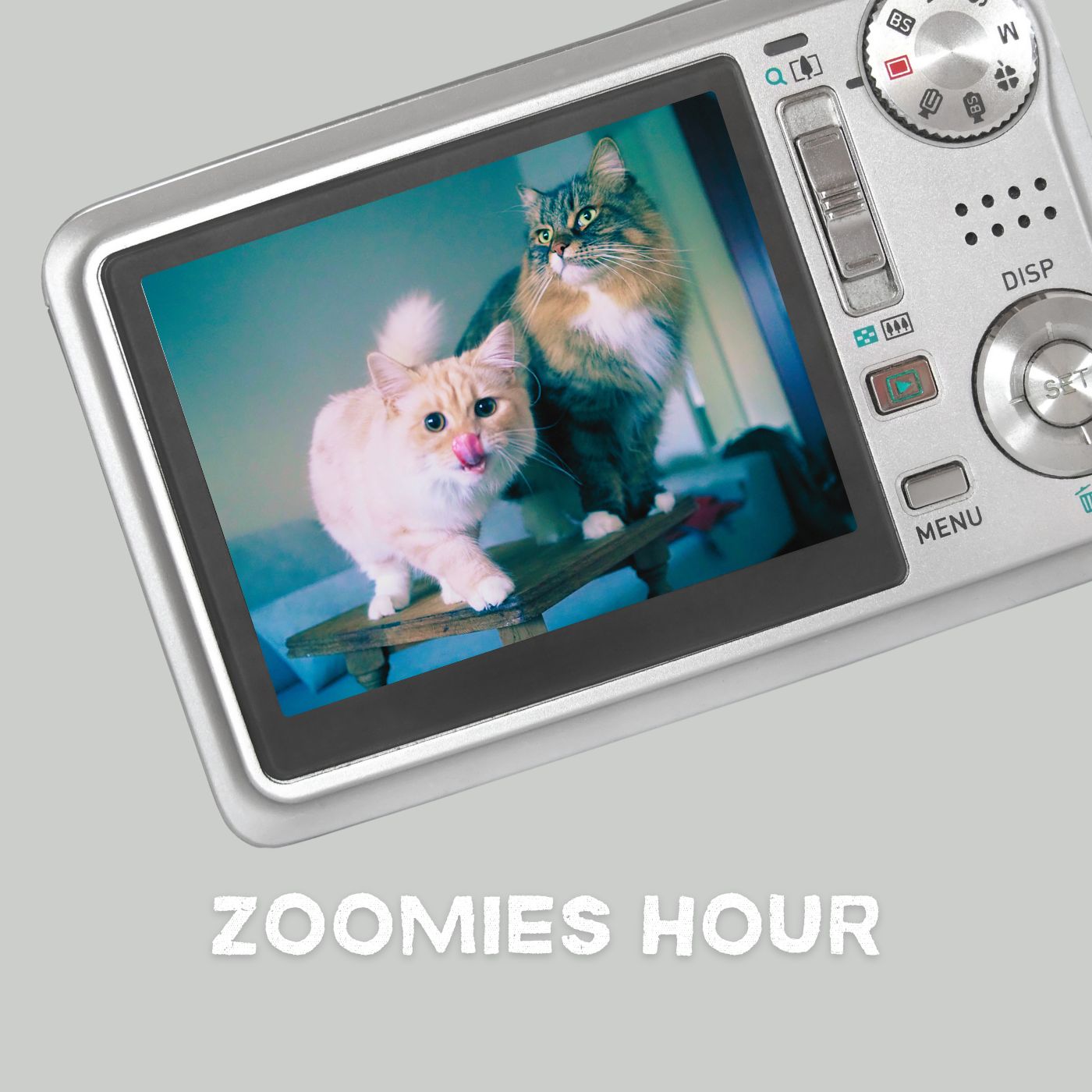 #068 猫と写真/番組イベントZOOMIES PARTY出店者第一弾発表！ episode artwork