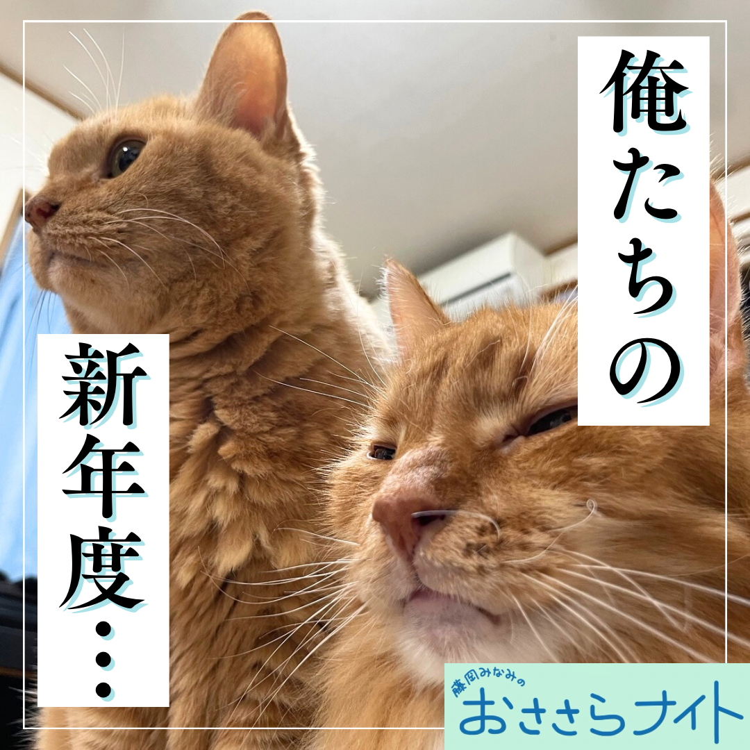 ＜ＯＡ＞２０２５年３月２２日放送 episode artwork